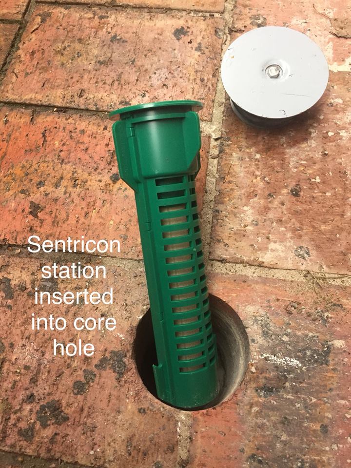 How Do Termite Bait Stations Work | Cannon Pest Management