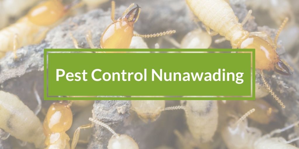 Pest Control Nunawading