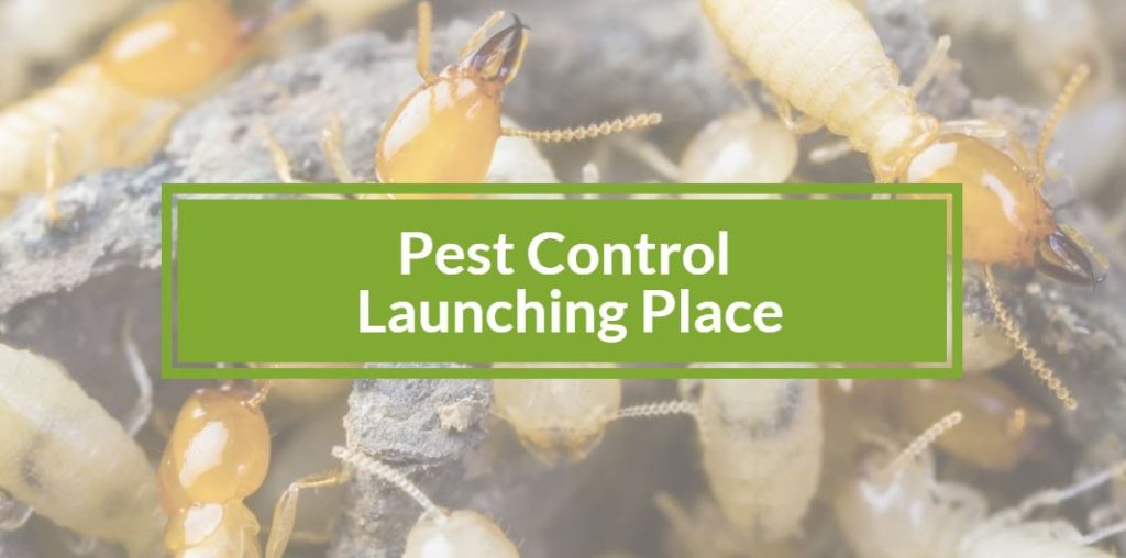 Pest control Launching Place