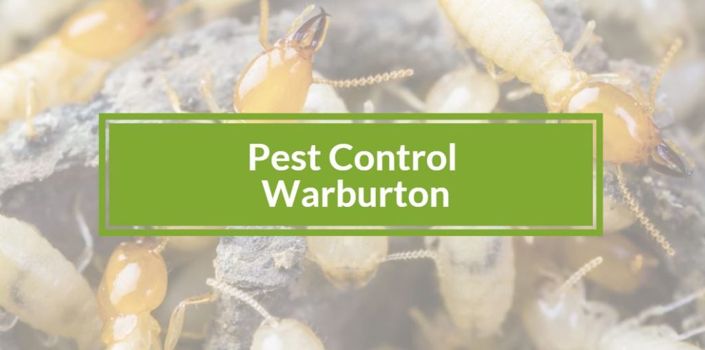 Pest control Warburton