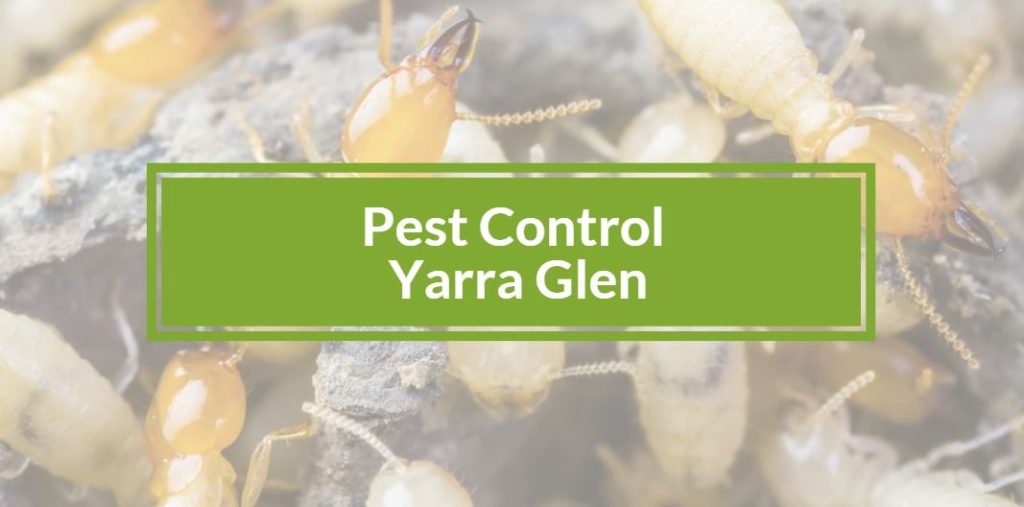 Pest control Yarra Glen